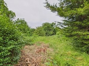 Garden- click for photo gallery